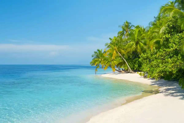 寒假过半|必赢242net官网|管理学院|寒假苦学添才智，新春奋进铸辉煌