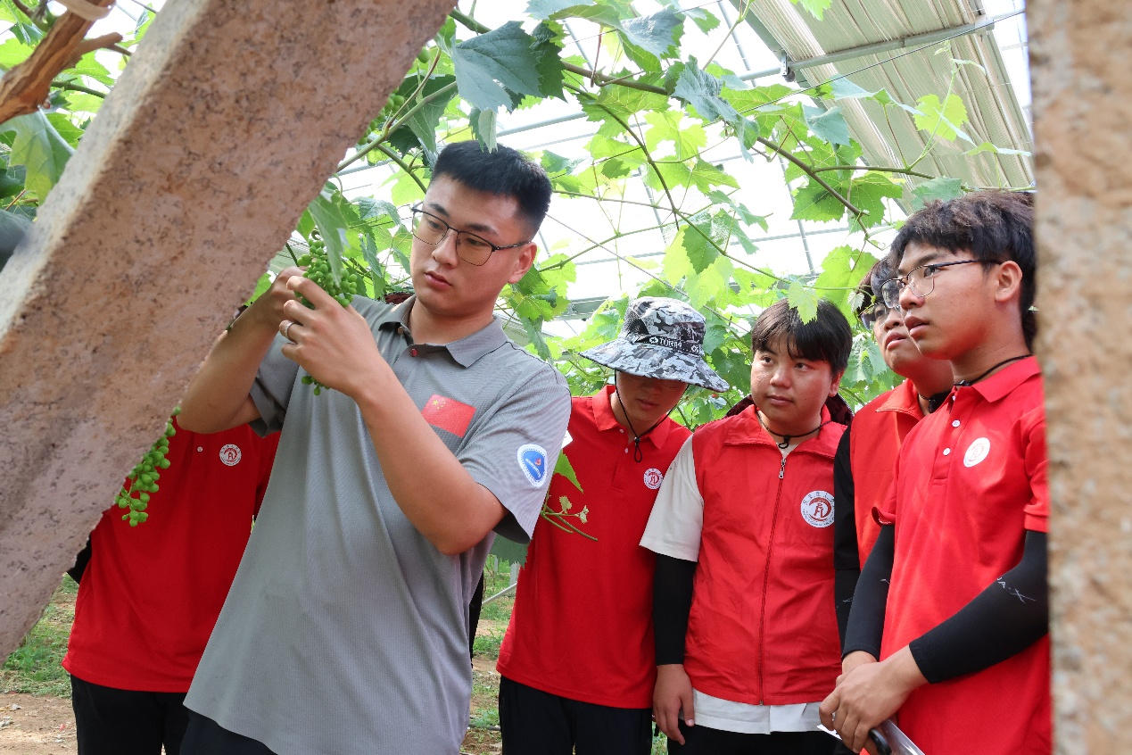【青春聚力，实践砺行】劳动砺心智，实践育新人——经济学院走进盛尧都市生态农场，开展劳动教育实践活动