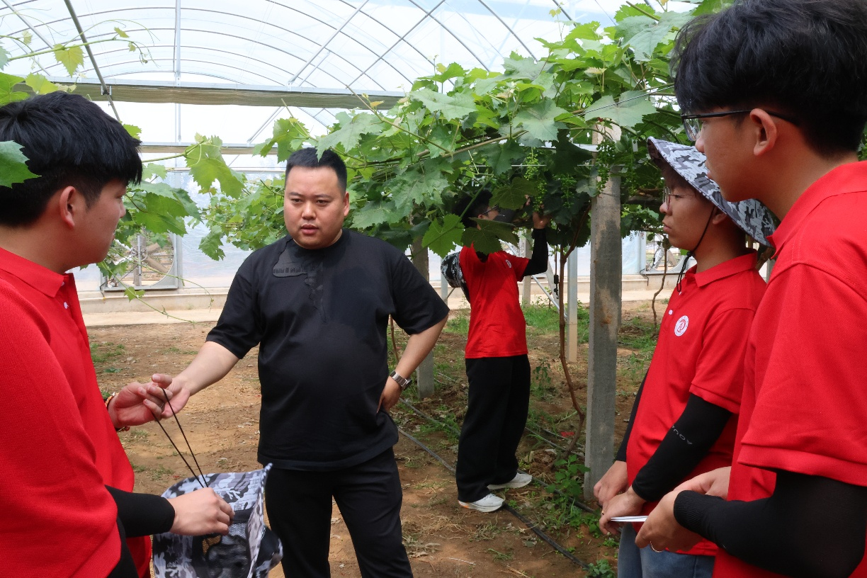 【青春聚力，实践砺行】劳动砺心智，实践育新人——经济学院走进盛尧都市生态农场，开展劳动教育实践活动