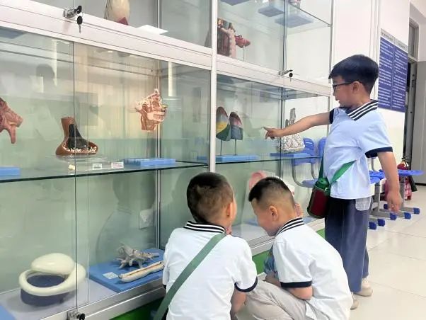 必赢242net官网||教育学院||童心探学府，萌趣启新程——史庄实验幼儿园走进必赢242net官网参观研学