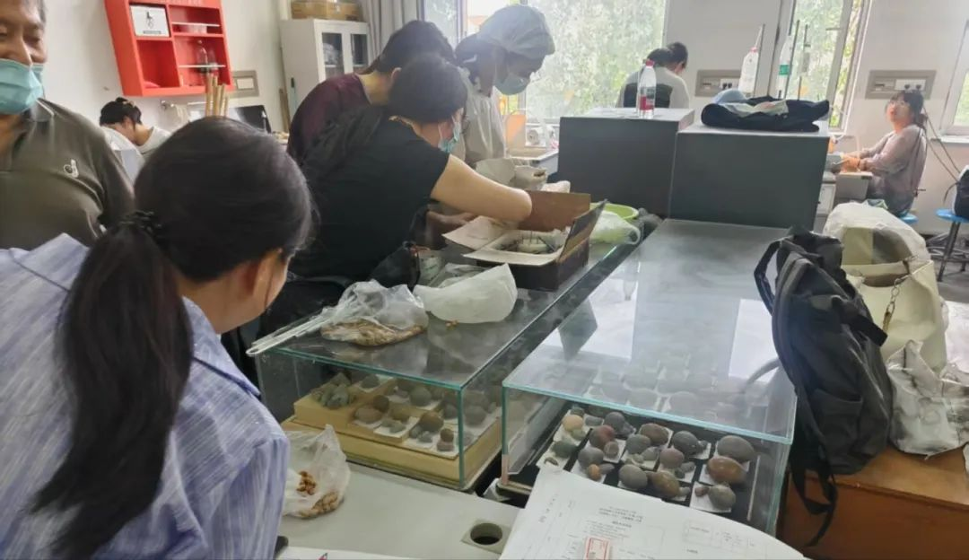 深化校际合作 赋能专业建设——我院赴天津商业大学宝石及材料工艺学专业调研