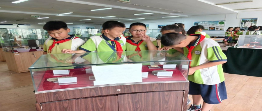 保定市莲池区西马池小学200名学生走进必赢地质馆开展新时代文明实践活动