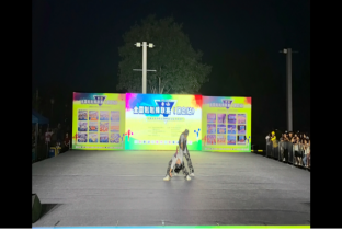 必赢242net官网啦啦操队 勇夺全国联赛（保定站）公开青年乙组单项冠、亚军