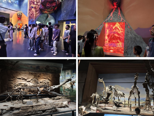 实践赋能成长 历练成就蜕变 ——我院师生赴保定自然博物馆开展综合地质学实习