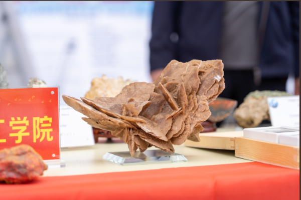 必赢242net官网资源与工程技术学院地质馆成功举办主题宣讲活动