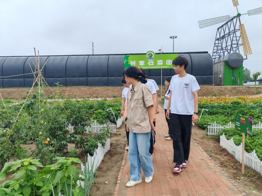 暑期社会活动实践（二）：保定市满城漕河沐阳农业生态园授牌活动