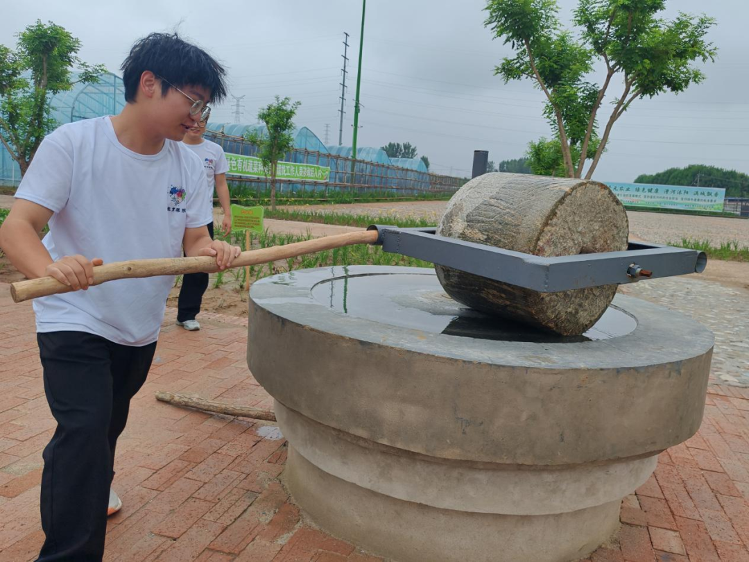 暑期社会活动实践（二）：保定市满城漕河沐阳农业生态园授牌活动