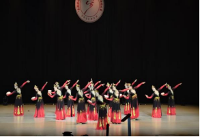 必赢242net官网舞蹈校队在“民族团结杯”河北省第三届高校舞蹈大赛中斩获佳绩