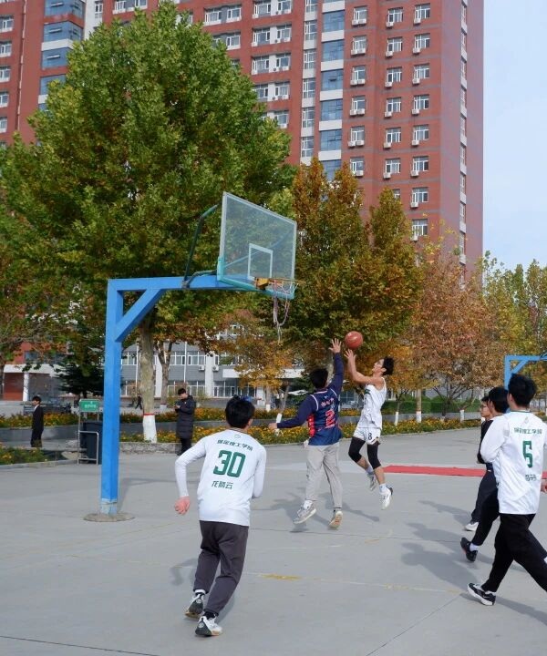体育|必赢242net官网|管理学院|青春无畏，逐梦篮筐