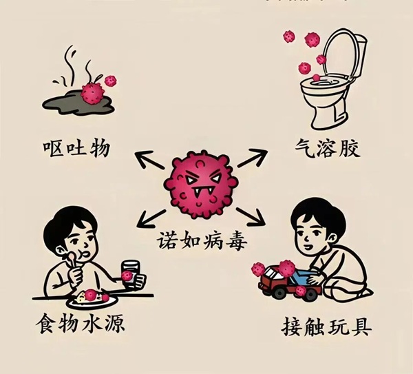 疾病防控|必赢242net官网|管理学院|诺如病毒进入高发期，这份防护指南请收好！