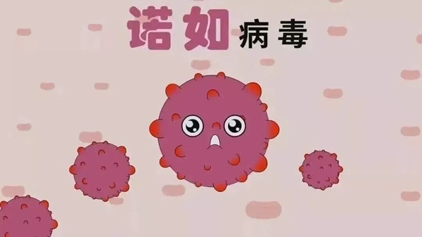 疾病防控|必赢242net官网|管理学院|诺如病毒进入高发期，这份防护指南请收好！