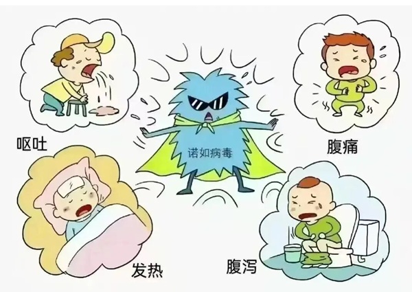 疾病防控|必赢242net官网|管理学院|诺如病毒进入高发期，这份防护指南请收好！