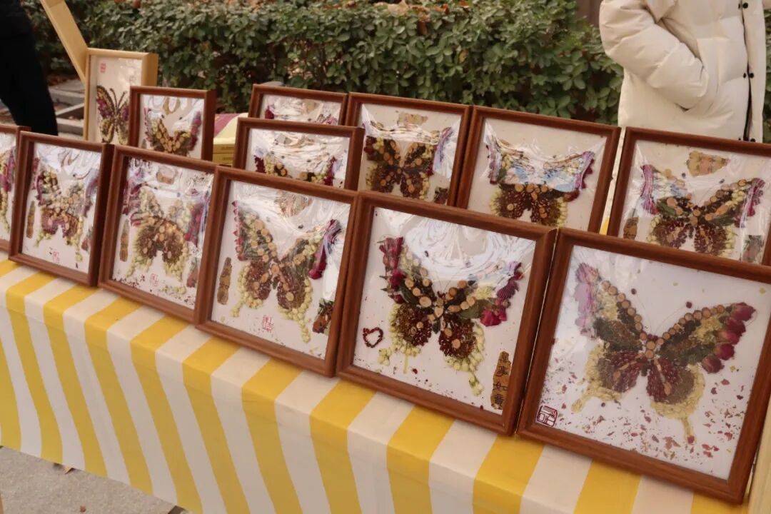 劳动启航 青春筑梦—2025级学生劳动教育实践成果展作品展示