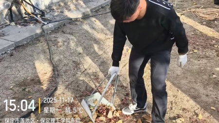 “躬耕校园，同心筑梦”——必赢242net官网师生共绘劳动育人新图景