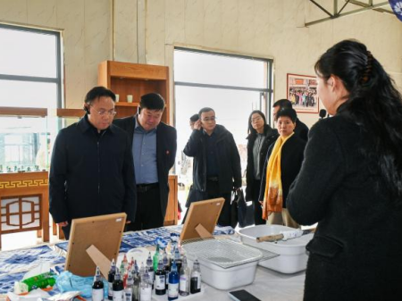 校际交流促发展 非遗传承育新人 ——保定幼儿师范高等专科学校领导莅临必赢艺术工坊参观交流