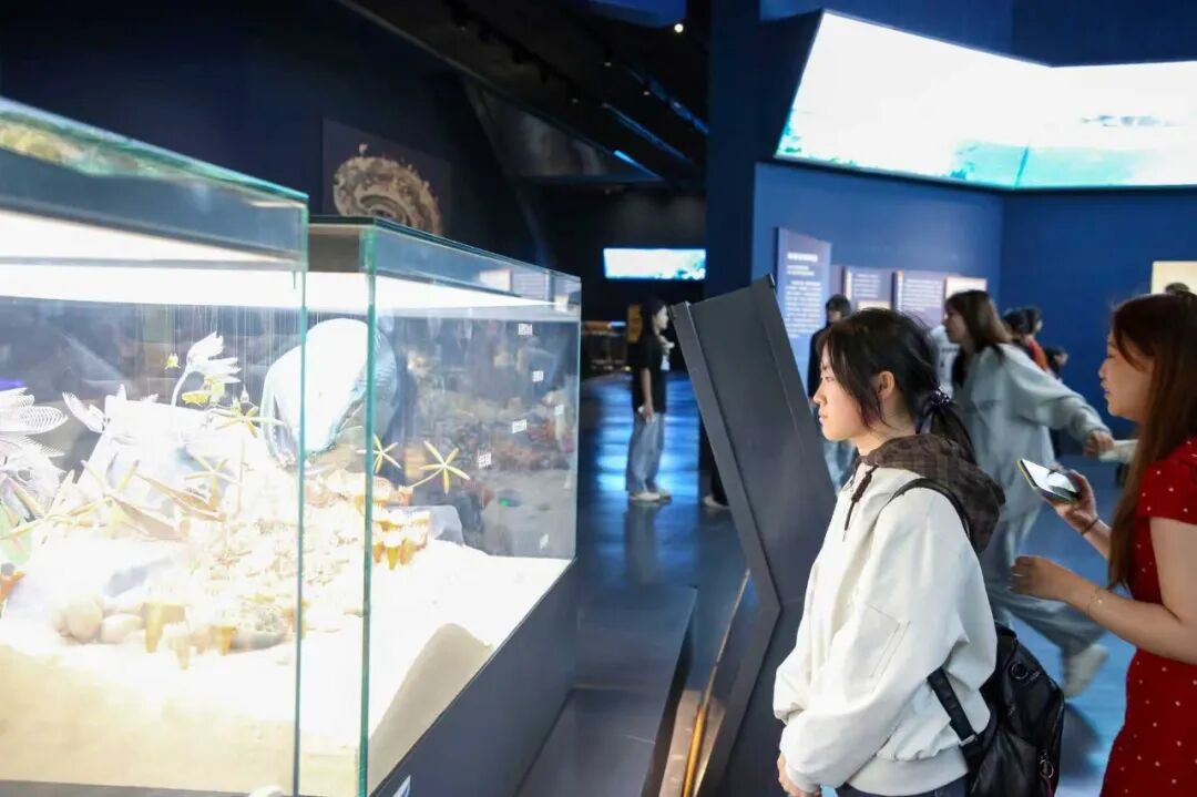 馆校研学同行 夯实地质本领｜必赢242net官网师生走进中国古动物馆