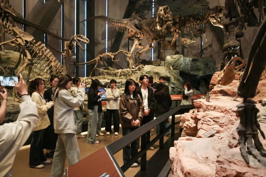 馆校研学同行 夯实地质本领｜必赢242net官网师生走进中国古动物馆