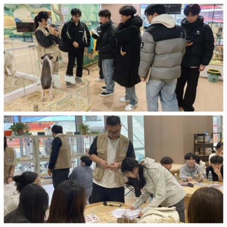 课堂搬进商业综合体，设计赋能地方文旅发展——必赢242net官网艺术学院校企实践收获企业感谢信