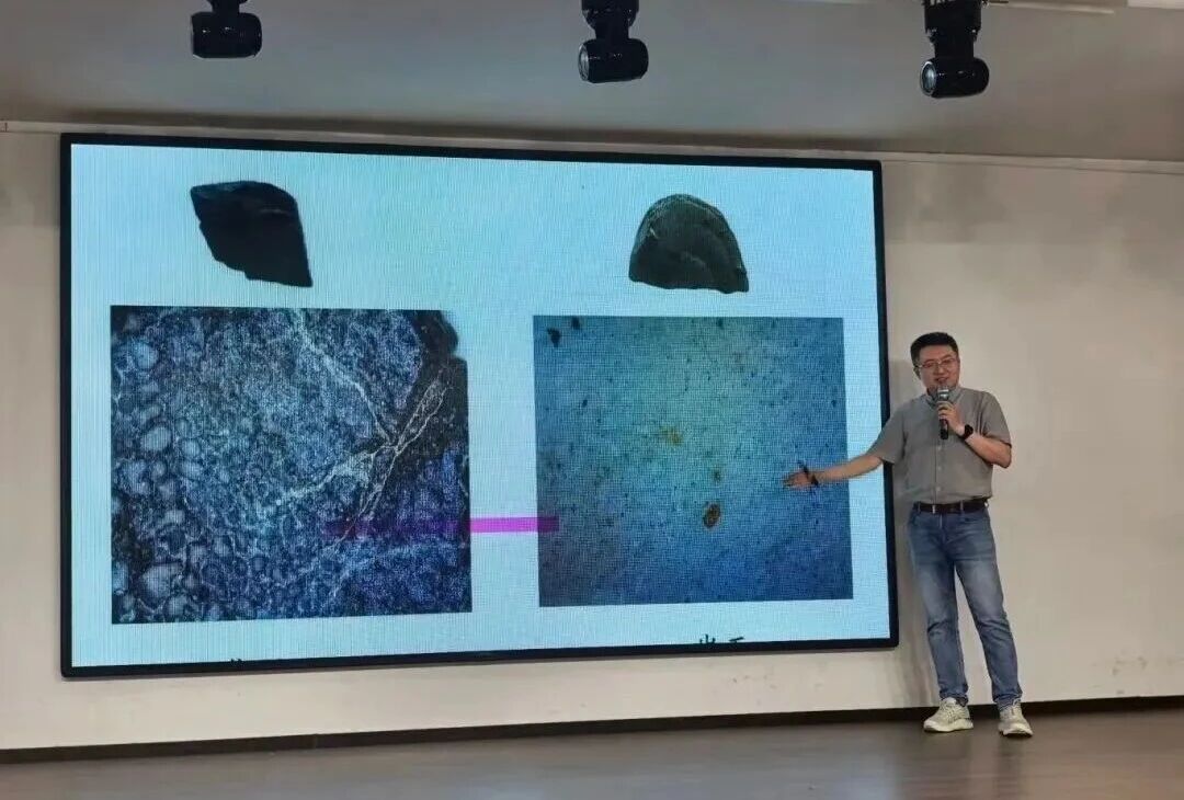 深化馆校合作 科普赋能育人——必赢242net官网特邀专家开展古生物系列专题讲座