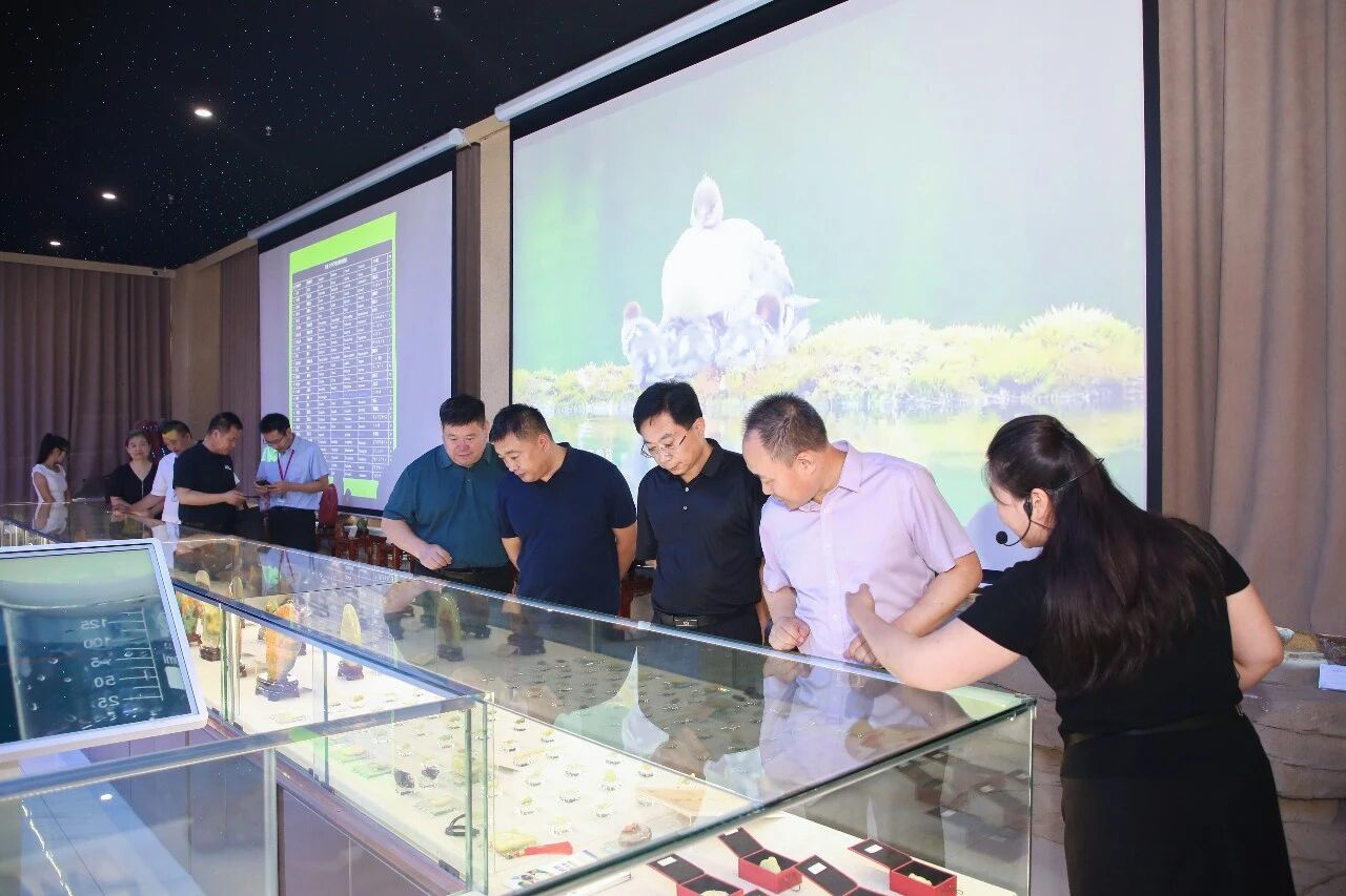 深化校地协同 赋能科技创新——市科协领导莅临必赢242net官网交流指导